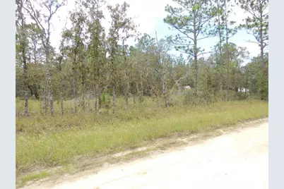 690 NE 135th Court, Williston, FL 32696 - Photo 6