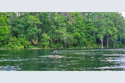 12190 Maple Street, Dunnellon, FL 34432 - Photo 90