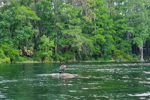 12190 Maple St, Dunnellon, FL 34432 - Photo 90