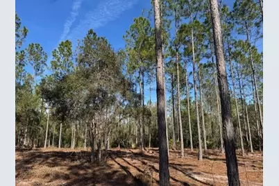 11901 NE 150th Ave Road, Fort Mc Coy, FL 32134 - Photo 12