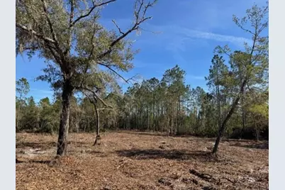 11901 NE 150th Ave Road, Fort Mc Coy, FL 32134 - Photo 14