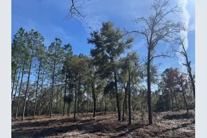 11901 NE 150th Ave Road, Fort Mc Coy, FL 32134 - Photo 10