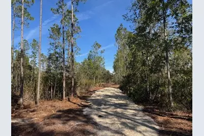 11901 NE 150th Ave Road, Fort Mc Coy, FL 32134 - Photo 4