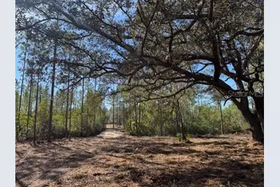 11901 NE 150th Ave Road, Fort Mc Coy, FL 32134 - Photo 1