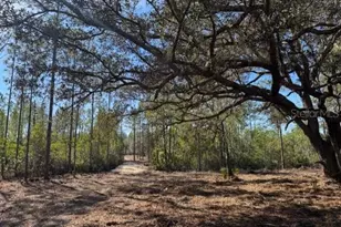 11901 NE 150th Avenue Rd, Fort Mc Coy, FL 32134 - Photo 1