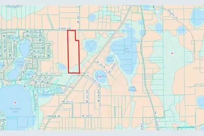 12146 E Highway 318, Fort Mc Coy, FL 32134 - Photo 48