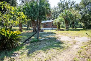12146 E Hwy 318, Fort Mc Coy, FL 32134 - Photo 20