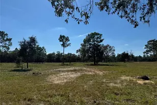 9437 N Singapore Ave, Dunnellon, FL 34433 - Photo 58