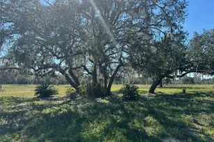 9437 N Singapore Ave, Dunnellon, FL 34433 - Photo 56