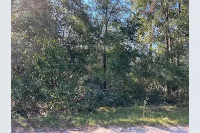 Tbd NE 138th Terr, Williston, FL 32696 - Photo 1