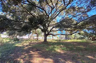 1210 SE 174th Ave, Silver Springs, FL 34488 - Photo 36