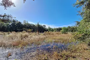 1210 SE 174th Ave, Silver Springs, FL 34488 - Photo 42