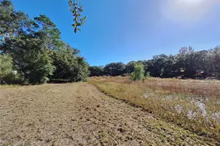 1210 SE 174th Ave, Silver Springs, FL 34488 - Photo 6