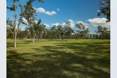 Tbd NW 130th Avenue, Ocala, FL 34482 - Photo 14