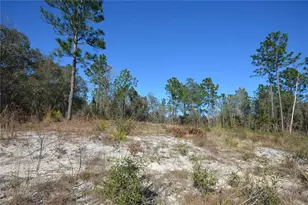 SW 144 Pl, Ocala, FL 34473 - Photo 1