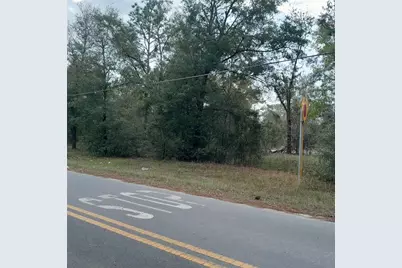 Tbd NE 101st Court, Bronson, FL 32621 - Photo 4