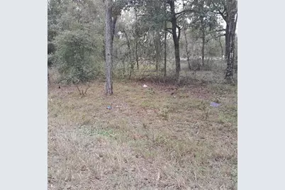 Tbd NE 101st Court, Bronson, FL 32621 - Photo 2