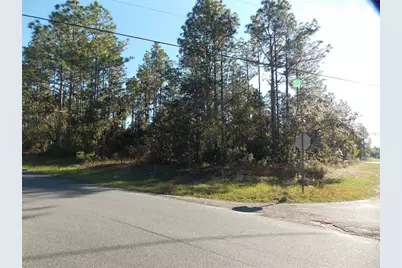 9432 N Cherry Lake Drive, Citrus Springs, FL 34433 - Photo 1