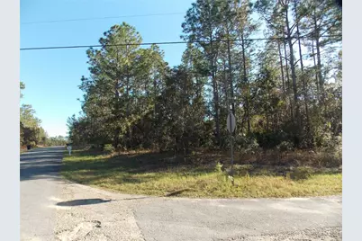 9432 N Cherry Lake Drive, Citrus Springs, FL 34433 - Photo 2