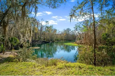 3097 NE 102nd Avenue Road, Silver Springs, FL 34488 - Photo 64