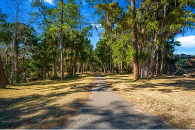 3097 NE 102nd Avenue Road, Silver Springs, FL 34488 - Photo 66