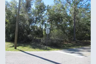 00 SE 169th Court, Ocklawaha, FL 32179 - Photo 2