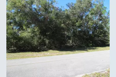 00 SE 169th Court, Ocklawaha, FL 32179 - Photo 10