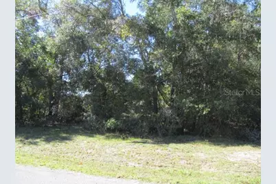 00 SE 169th Court, Ocklawaha, FL 32179 - Photo 8