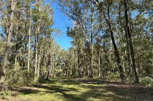 55Ac W Hwy 318, Reddick, FL 32686 - Photo 1