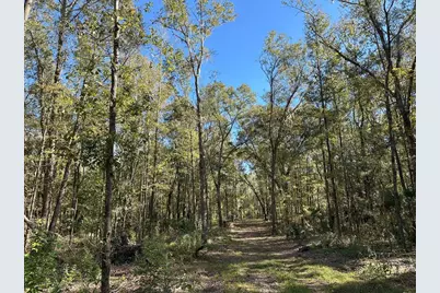 55Ac W Hwy 318, Reddick, FL 32686 - Photo 2