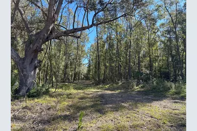 55Ac W Hwy 318, Reddick, FL 32686 - Photo 4