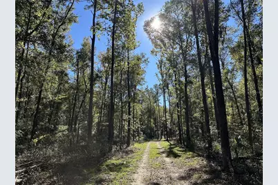 55Ac W Hwy 318, Reddick, FL 32686 - Photo 8