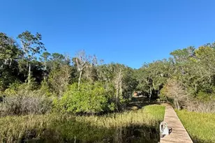 45202 Nfs Rd 572-B, Altoona, FL 32702 - Photo 42