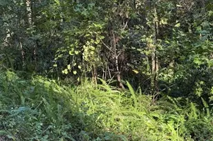 Tbd NW 7th St, Ocala, FL 34482 - Photo 1