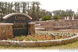 624 W Marguerita Dr, Citrus Springs, FL 34434 - Photo 6