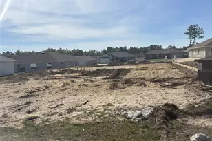 8385 N Jay Dr, Citrus Springs, FL 34434 - Photo 2