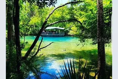 777 W Hallam Drive, Citrus Springs, FL 34434 - Photo 6