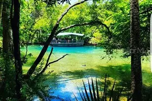 777 W Hallam Dr, Citrus Springs, FL 34434 - Photo 6