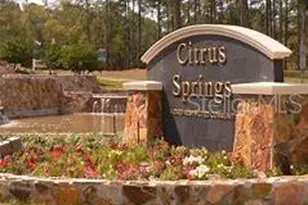 641 W Marguerita Dr, Citrus Springs, FL 34434 - Photo 8