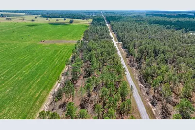 Blk 35, Lot 25 NW Buena Vista Road, Dunnellon, FL 34431 - Photo 8