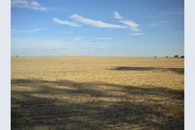 Blk 35, Lot 25 NW Buena Vista Road, Dunnellon, FL 34431 - Photo 12