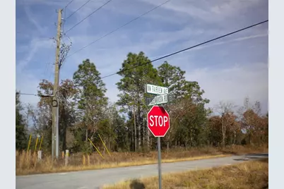 Blk 35, Lot 25 NW Buena Vista Road, Dunnellon, FL 34431 - Photo 10