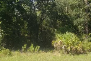 2949 W Grapevine Ct, Dunnellon, FL 34433 - Photo 1