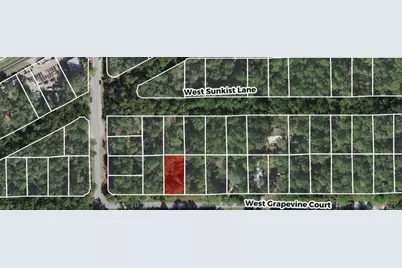 2949 W Grapevine Court, Dunnellon, FL 34433 - Photo 2