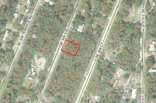0 SE 309 Ave, Altoona, FL 32702 - Photo 1
