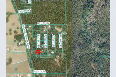 0 NE 138th Terrace, Fort Mc Coy, FL 32134 - Photo 1
