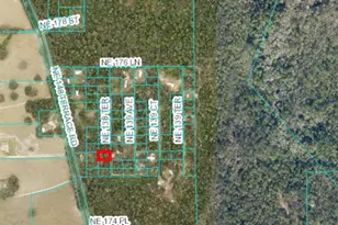 0 NE 138th Terrace, Fort Mc Coy, FL 32134 - Photo 1