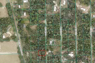 0 NE 138th Terrace, Fort Mc Coy, FL 32134 - Photo 1