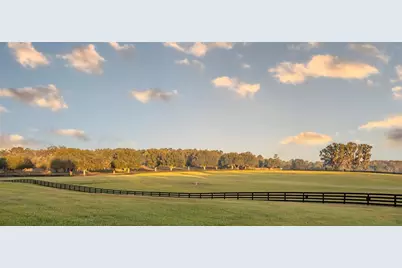 6800A NW 193rd Street #Option 1, Micanopy, FL 32667 - Photo 14