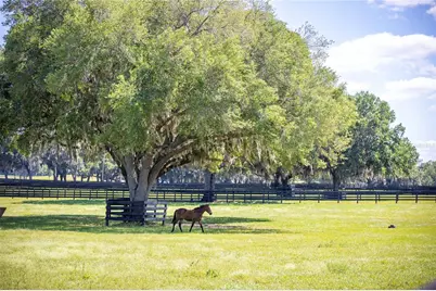6800A NW 193rd Street #Option 1, Micanopy, FL 32667 - Photo 20